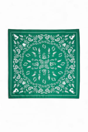 Green Katoenen paisleysjaal