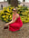 Knitted Scoop Neck Crochet Midi Dress