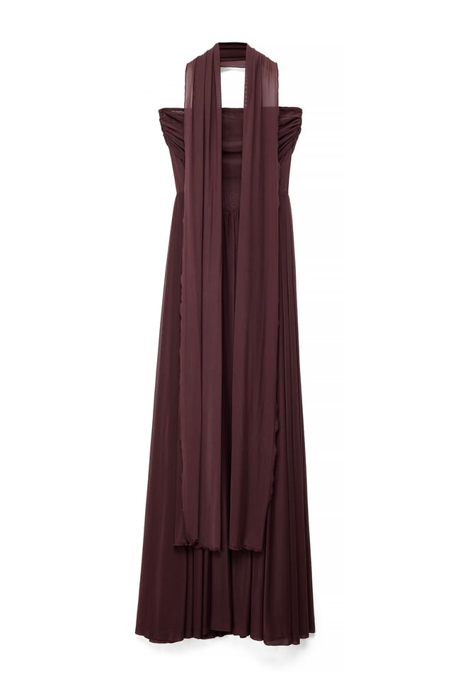 Brown Mesh Scarf Maxi Dress