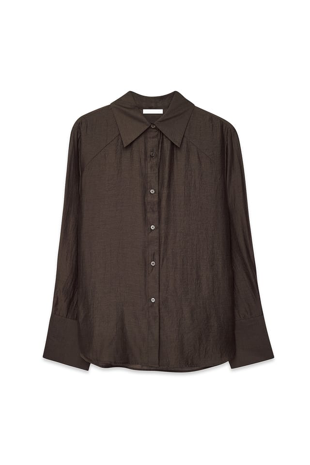 Brown Sheer Shirt