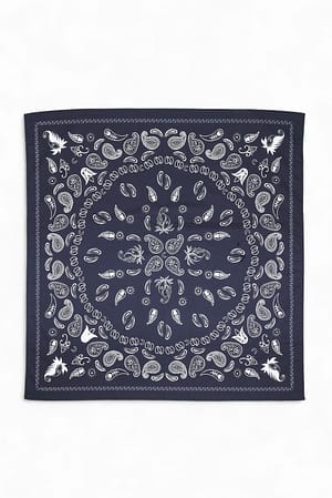 Blue Foulard en coton à imprimé cachemire