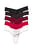 5-pack Lace Band Thong