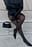 Pointy Pumps