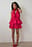 Rose Detail Ruffle Mini Dress