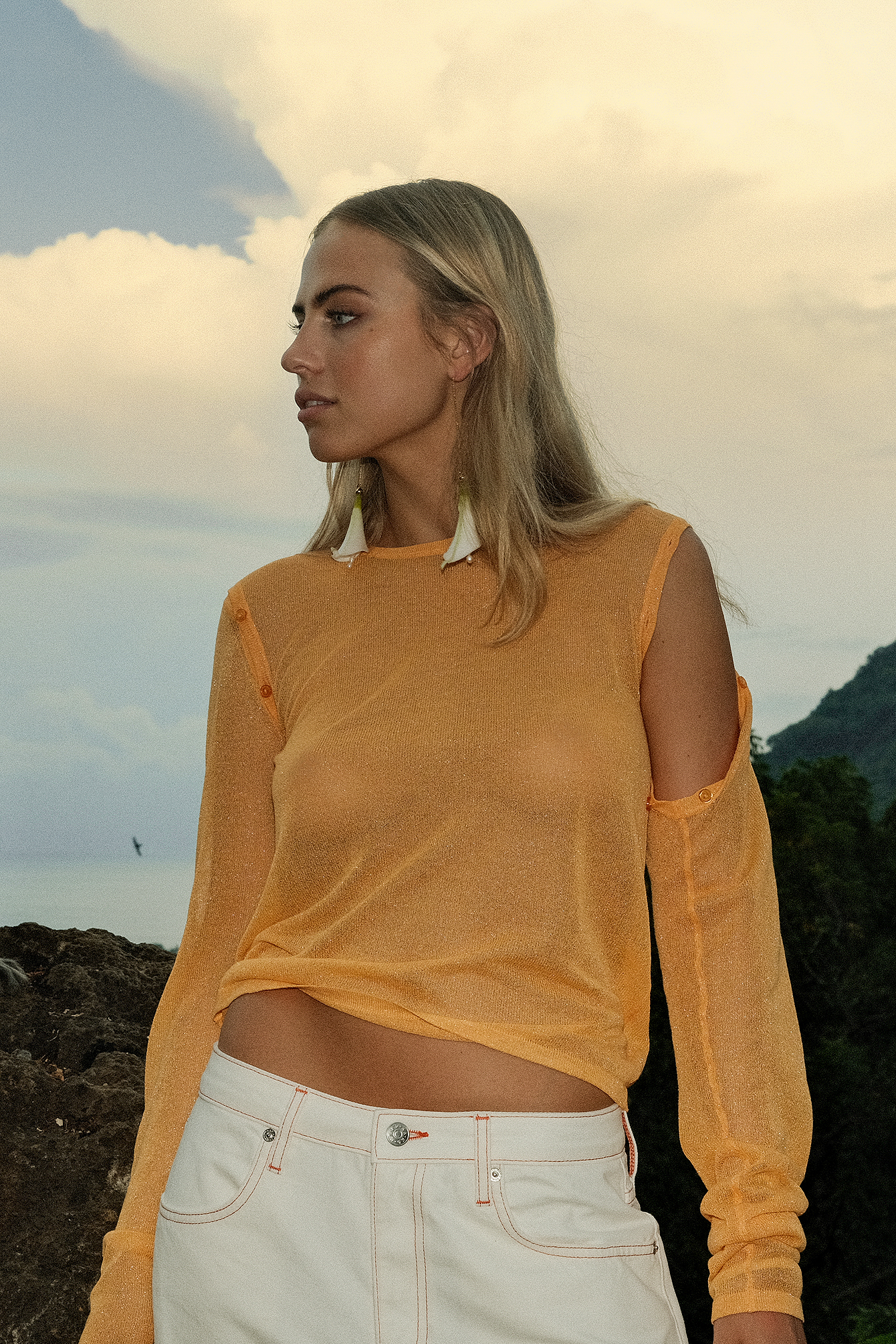 Sheer Knitted Button Detail Sweater 