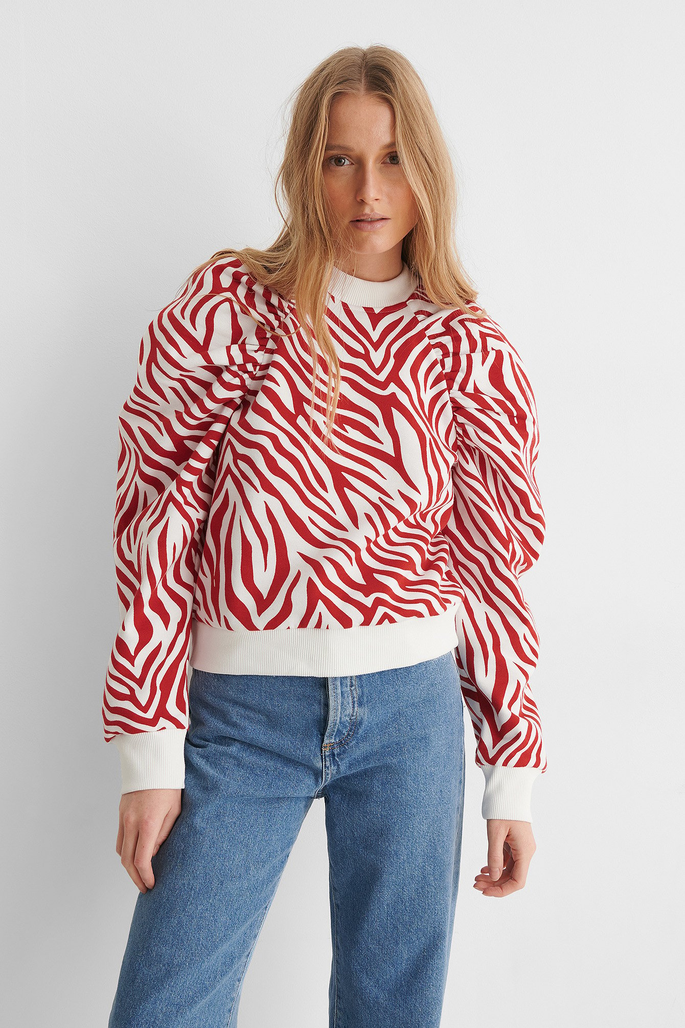 Zebra Raglan Sleeve Sweater