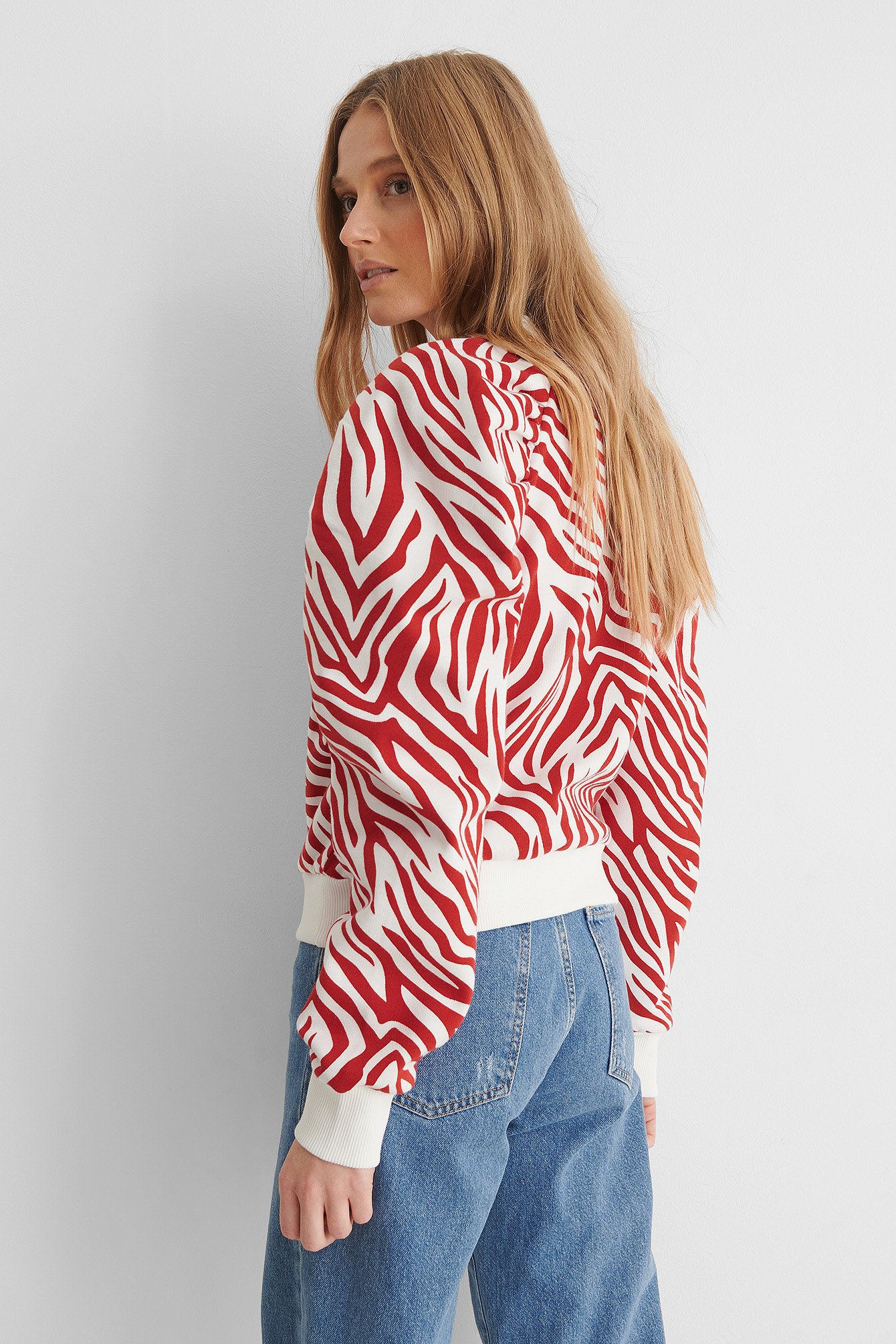 Zebra Raglan Sleeve Sweater