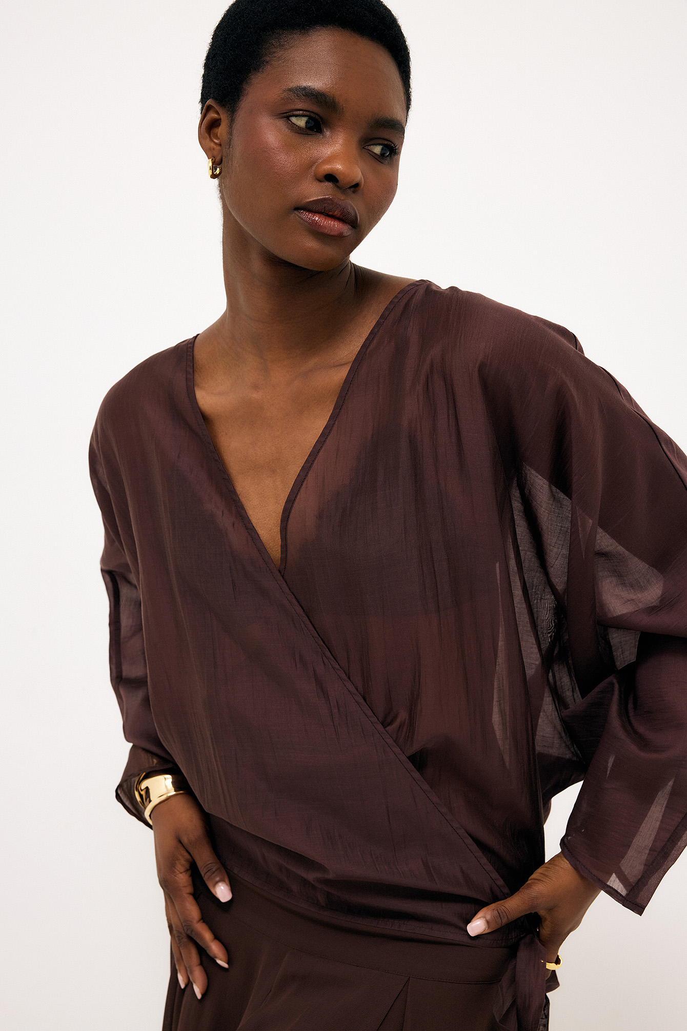 sheer_volume_sleeve_top_1881-