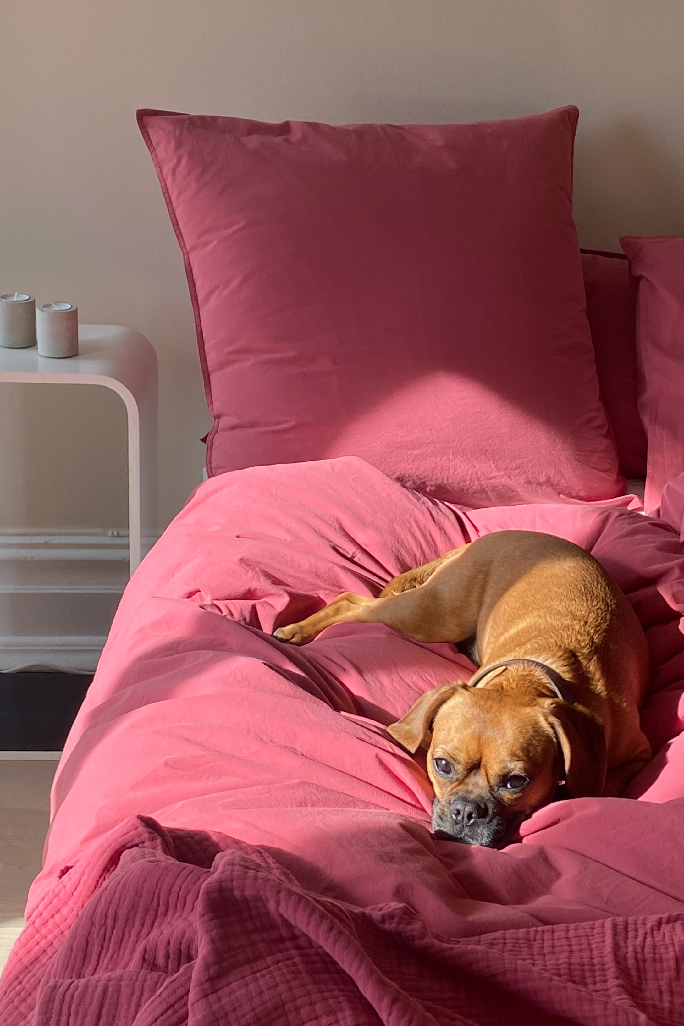 Washed Organic Cotton Pillowcase Pink