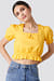 Cropped Frill Short Sleeve Top