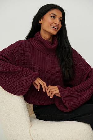 Burgundy Turtle Neck Short Knitted Sweater