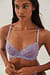 Classic Unlined Lace Wire Bra
