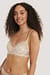Scalloped Lace Wide Cup Bra