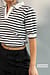 Striped Short Sleeved Collar Top